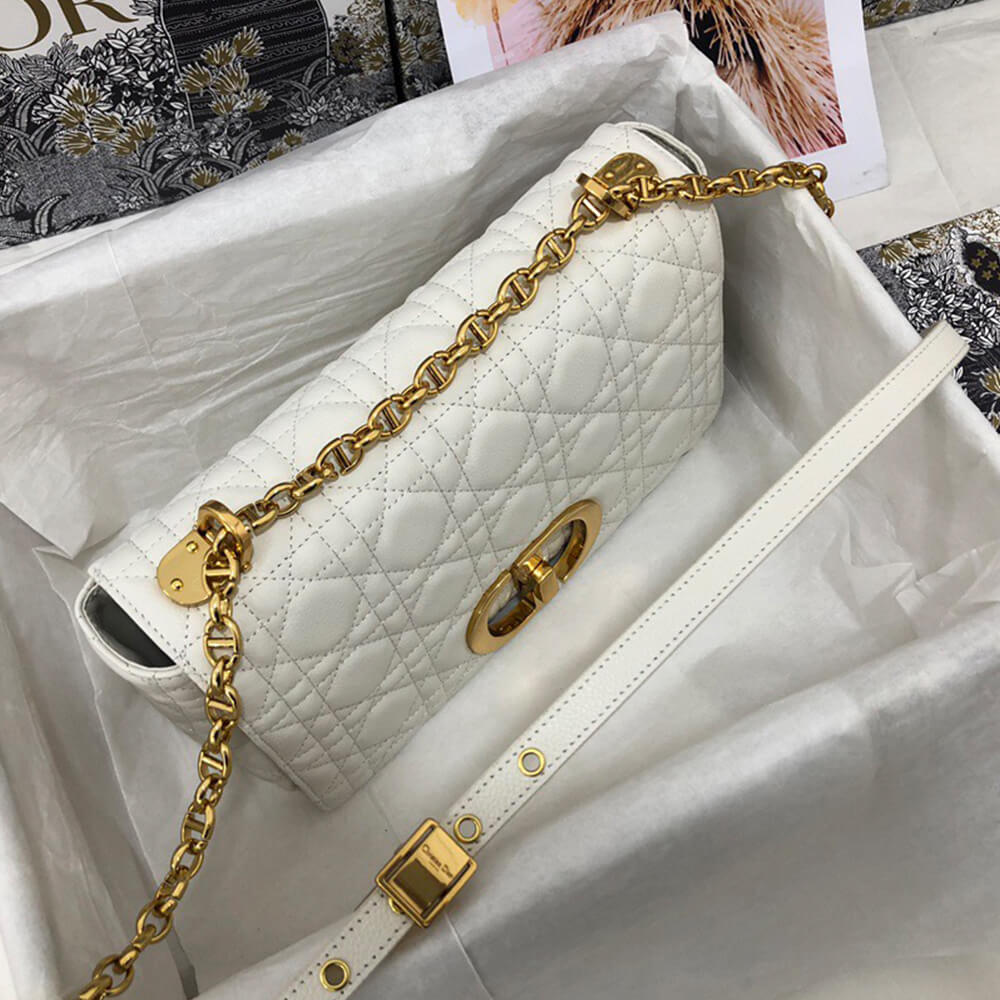 MEDIUM D10r CARO BAG